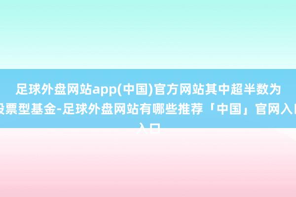 足球外盘网站app(中国)官方网站其中超半数为股票型基金-足球外盘网站有哪些推荐「中国」官网入口