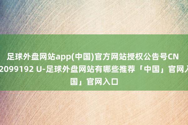 足球外盘网站app(中国)官方网站授权公告号CN 222099192 U-足球外盘网站有哪些推荐「中国」官网入口