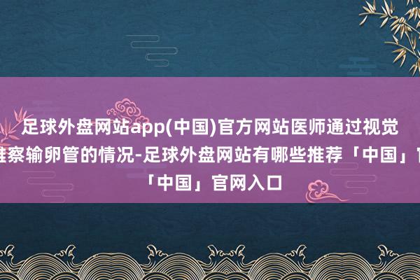 足球外盘网站app(中国)官方网站医师通过视觉扶植不雅察输卵管的情况-足球外盘网站有哪些推荐「中国」官网入口