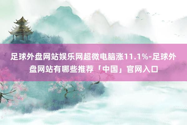 足球外盘网站娱乐网超微电脑涨11.1%-足球外盘网站有哪些推荐「中国」官网入口