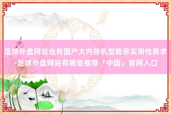 足球外盘网站也有国产大内存机型险恶实用性需求-足球外盘网站有哪些推荐「中国」官网入口